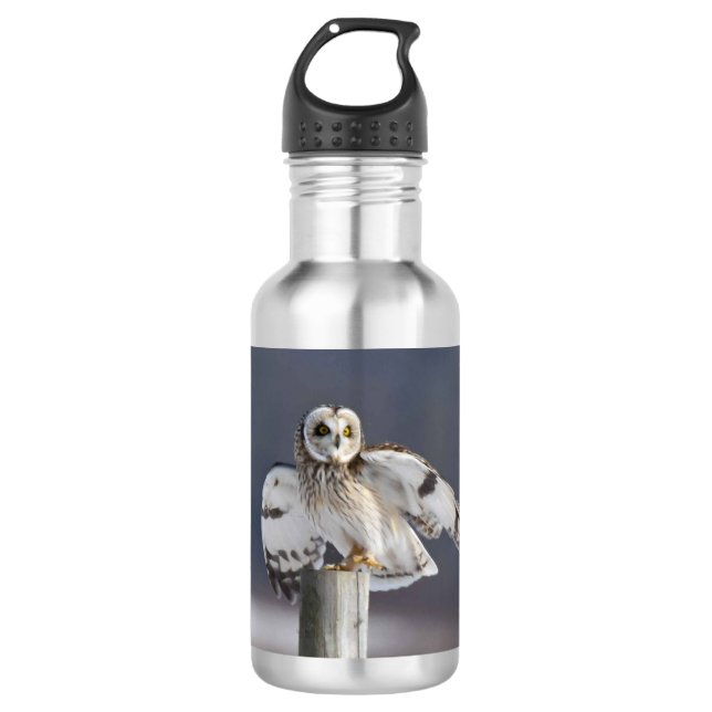 Kurzes Owl 2 Edelstahlflasche (Vorderseite)