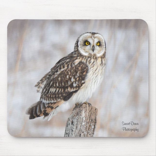 Kurzes Owl Mousepad (Vorne)