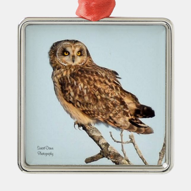 Kurzes Owl Ornament Aus Metall (Vorne)