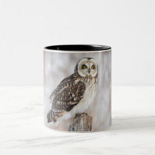 Kurzes Owl Zweifarbige Tasse