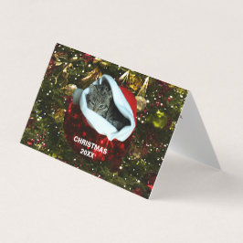 Kurzfristige graue Katze in Roter Weihnachtsmannmü