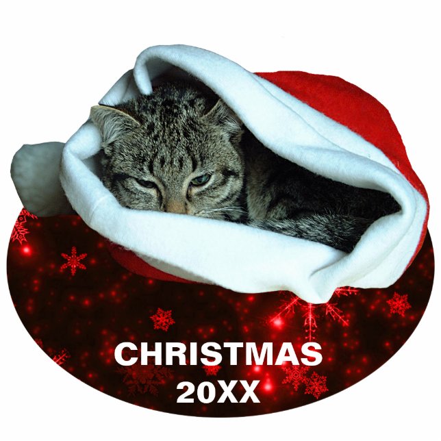Kurzfristige Katze Weihnachten 20XX Ornament Cutou Fotoskulptur Ornament (Vorne)