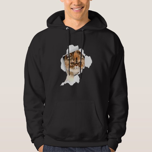 Kurzfristige Katzen Torntuch Kitten 1 Hoodie (Vorderseite)