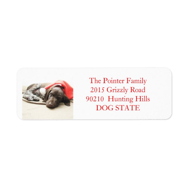 Kurzfristiges Pointer Holiday Address Label (Vorne)