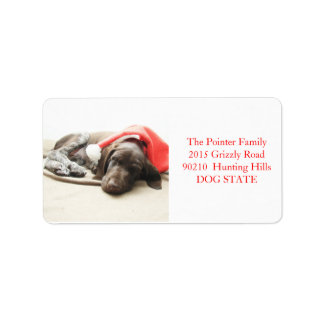 Kurzfristiges Pointer Holiday Address Label Adressaufkleber