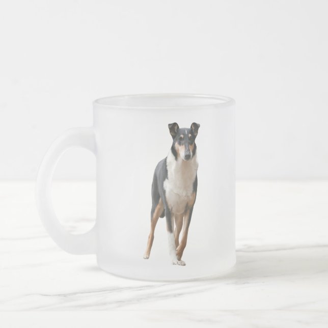 Kurzhaar Collie Mattglastasse (Links)