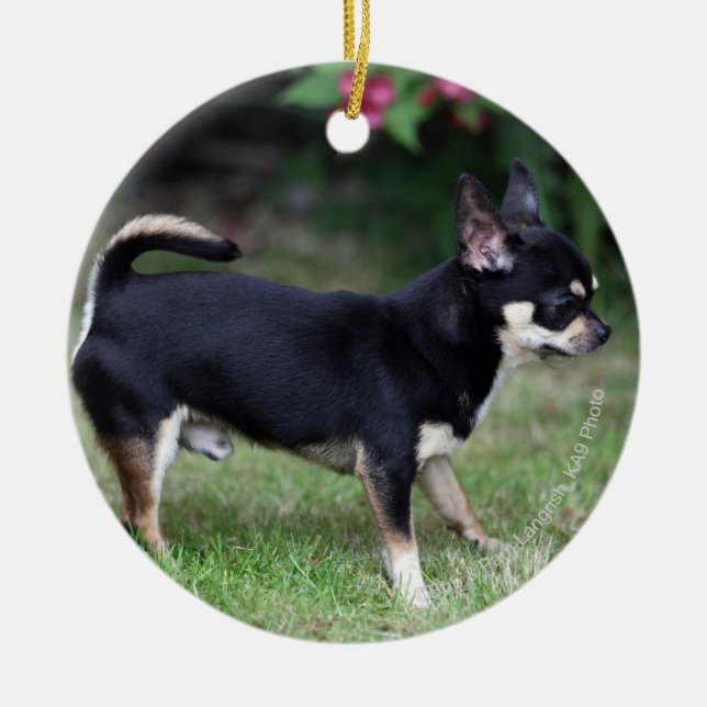 Kurzhaariger Chihuahua stehend Keramikornament (Vorne)