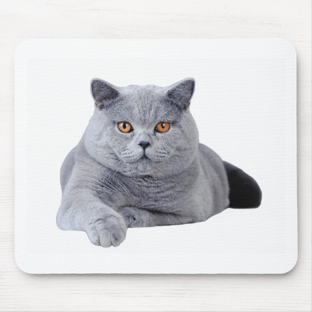 Kurzhaarkatze Mousepad (Vorne)