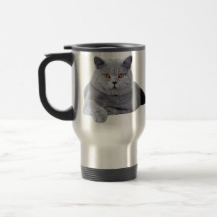 Kurzhaarkatze Reisebecher