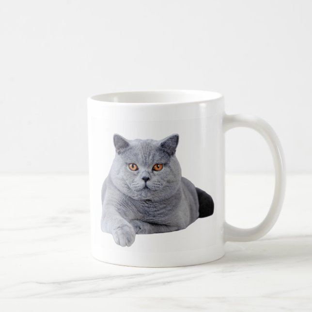 Kurzhaarkatze Tasse (Rechts)