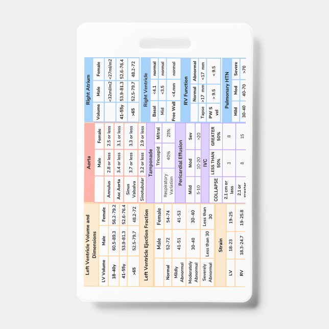 Kurzhinweis zum Echo-Abzeichen Ausweis (Vorderseite)