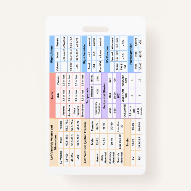 Kurzhinweis zum Echo-Abzeichen Ausweis (Vorderseite)