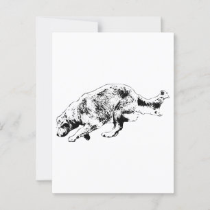 Kurzinformation: Golden on Go Postkarte