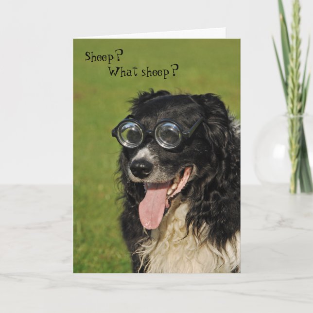 Kurzsichtige Border Collie Karte (Vorderseite)