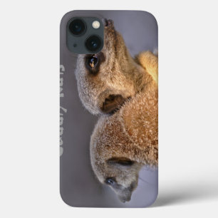 Kuschel-Katzen iPad-Hülle iPhone 13 Hülle