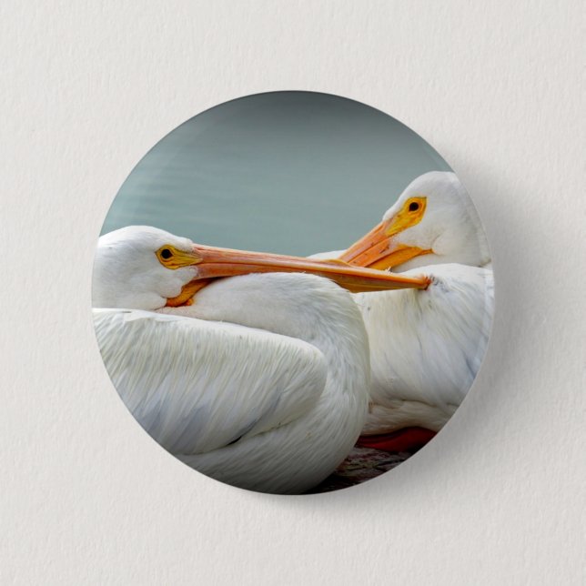 Kuschelige Pelikane Button (Vorderseite)