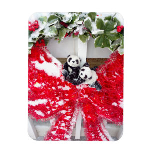 Kuscheln Zusammen Magnet