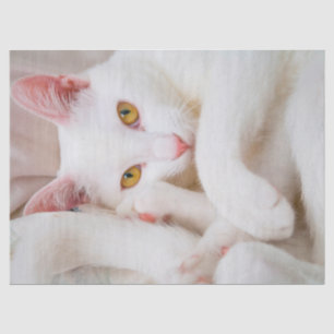 Kuschelpapier Seidenpapier