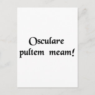 Küss meine Ritter! Postkarte