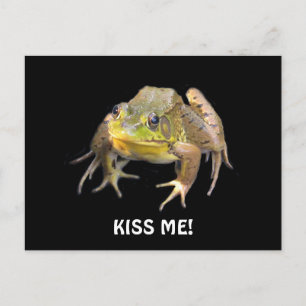 Küss mich! Green Frosch Postcard Postkarte