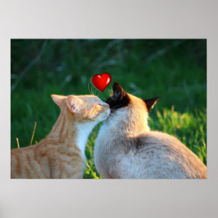 Kuss Poster