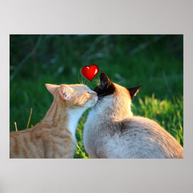 Kuss Poster (Vorne)