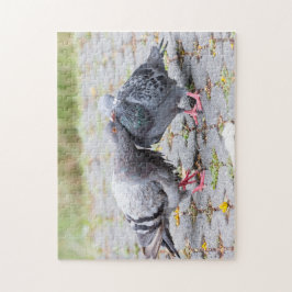 Küssen der Tauben Puzzle