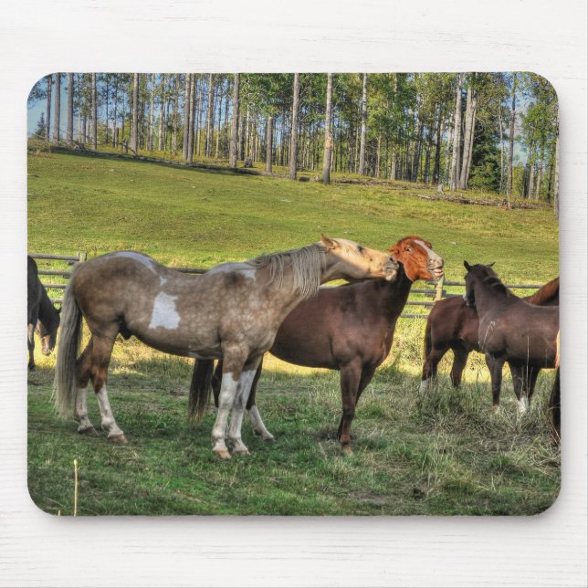 Küssen Pinto Stallion & Sorrel Mare Equine Foto Mousepad (Vorne)