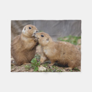 Küssen Sie mich schnelle Fleece-Decke Fleecedecke