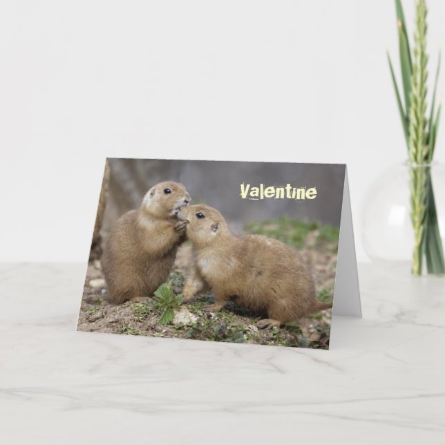 Küssen Sie mich schnelle Karte - Valentinsgruß (Vorderseite)