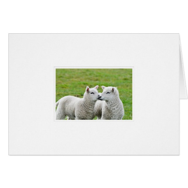 Küssen und Make-up (Vorderseite (Horizontal))