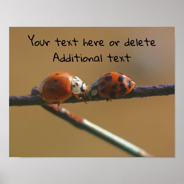 Küssen von Ladybugs Personalisiert Poster (Vorne)