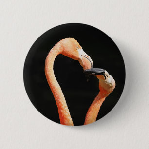 Küssende Flamingos Button