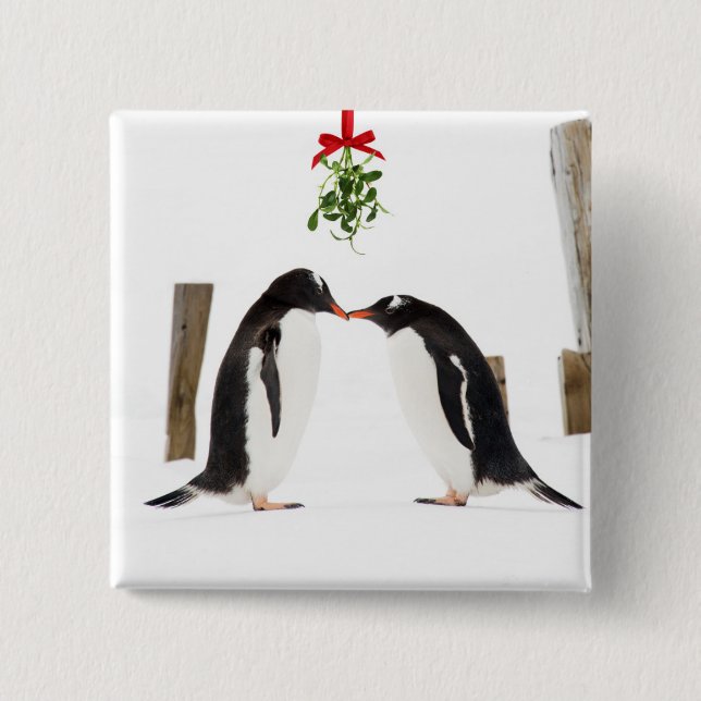 Küssende Gentoo Pinguine - Knopf Button (Vorderseite)