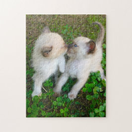 küssende Kätzchen Puzzle