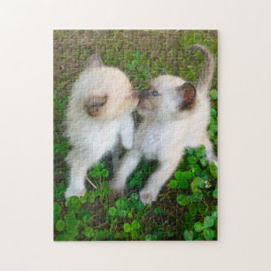 küssende Kätzchen Puzzle