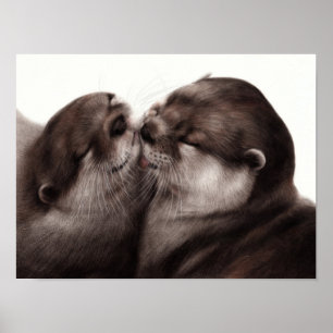 Küssende Otter - Handgemalte Wildlife-Kunst Poster