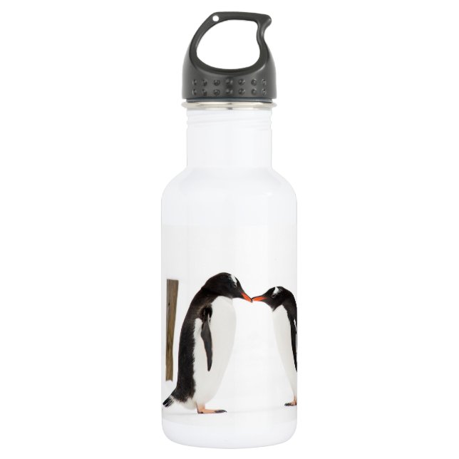 Küssende Pinguine - Wasserflasche (Vorderseite)