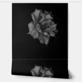 Küsste Petalen in Dunkelheit Tapete