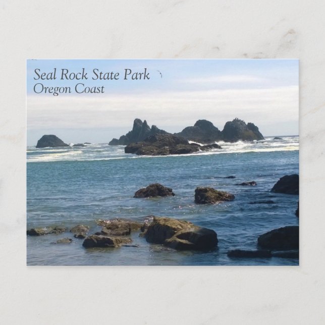 Küste in Siegel Rock Oregon Postkarte (Vorderseite)