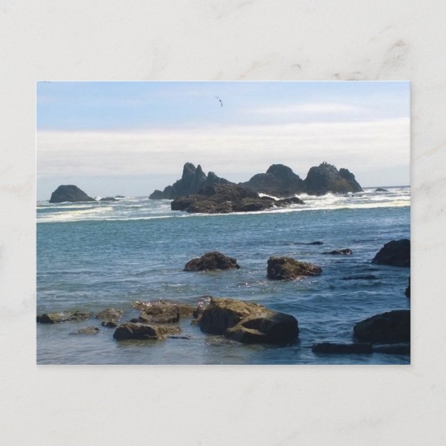 Küste in Siegel Rock Oregon Postkarte (Vorderseite)