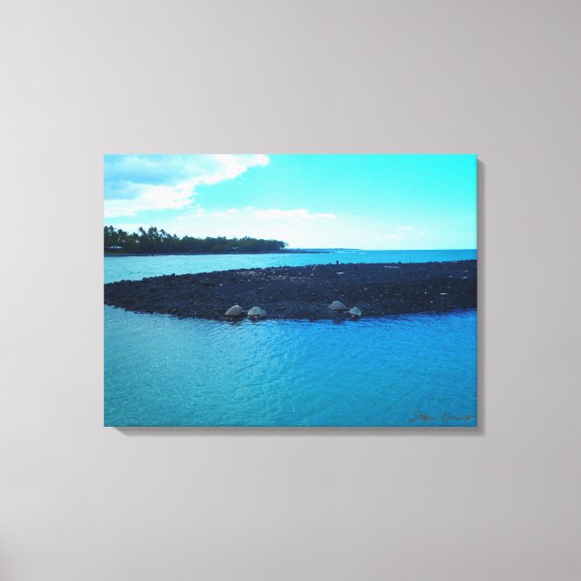 Küste Kiholo Bay Küste landschaftlich Hawaii Leinw Leinwanddruck (Vorderseite)