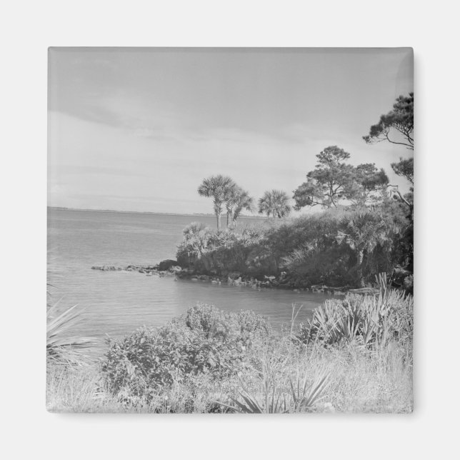 Küste Magnet (Vorne)