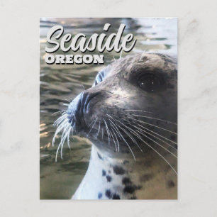 Küste, Oregon Baby Siegel Sealion Postkarte