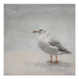 Küste Seagull Landschaft Poster