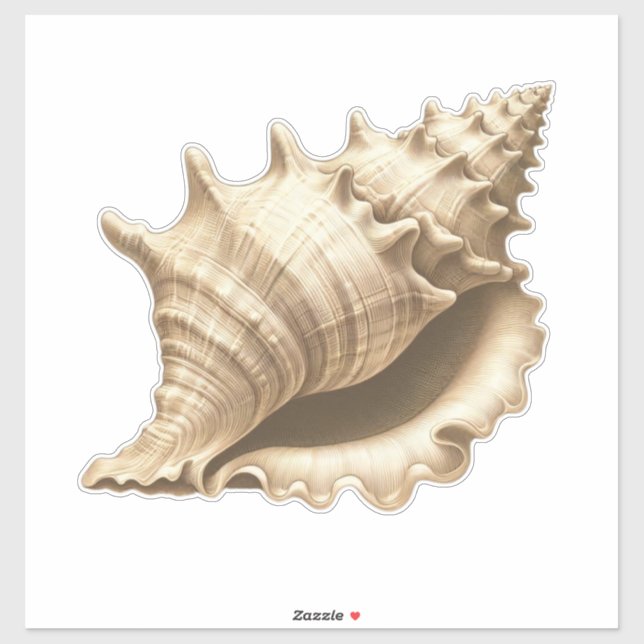 Küste/Strand/nautischer Muschel Aufkleber (Blatt)