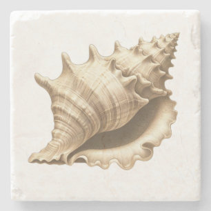 Küste/Strand/nautischer Muschel Steinuntersetzer