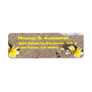 Küste und Muscheln