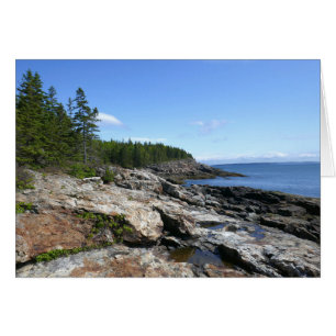Küste von Bar Island im Acadia National Park