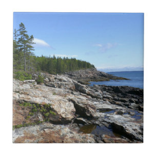 Küste von Bar Island im Acadia National Park Fliese